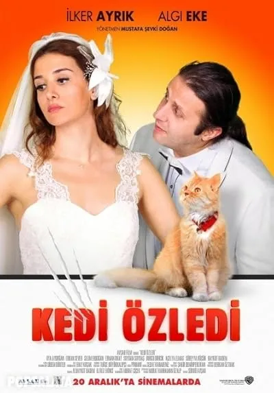 فیلم ترکی Kedi Özledi | گربه دلتنگ شد 2013