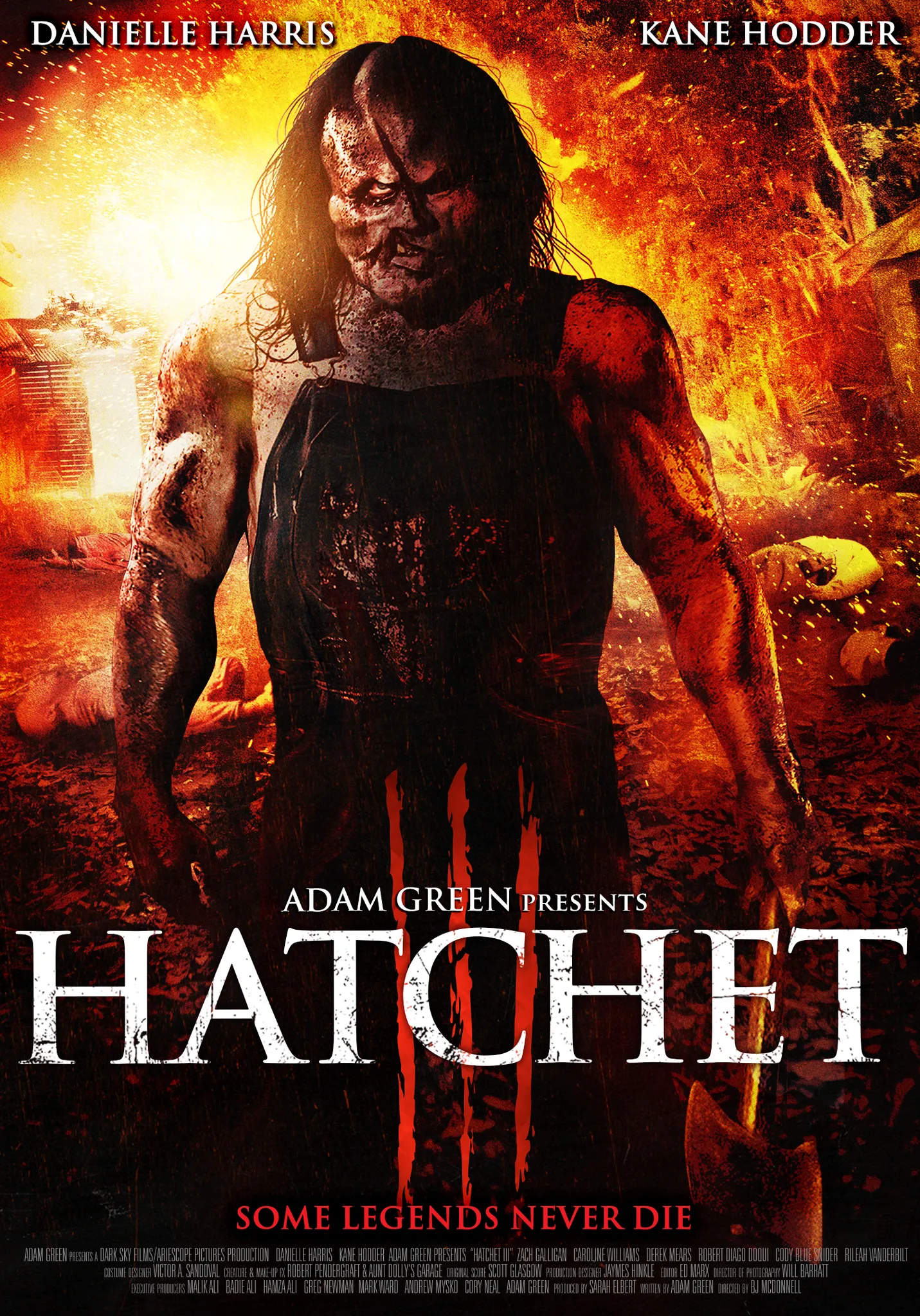  فیلم Hatchet III 2013