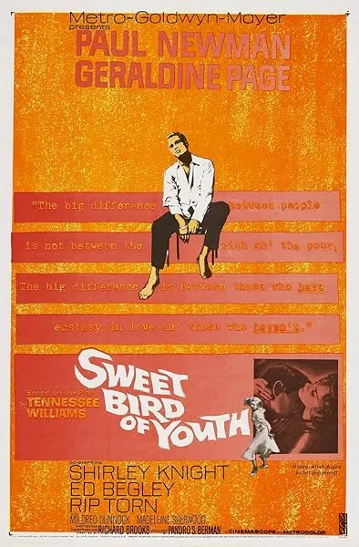  فیلم Sweet Bird of Youth 1962