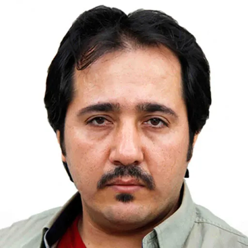 مجتبی بیطرفان