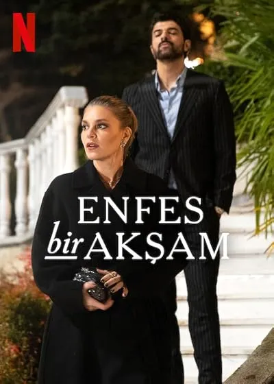 سریال ترکی Enfes Bir Aksam