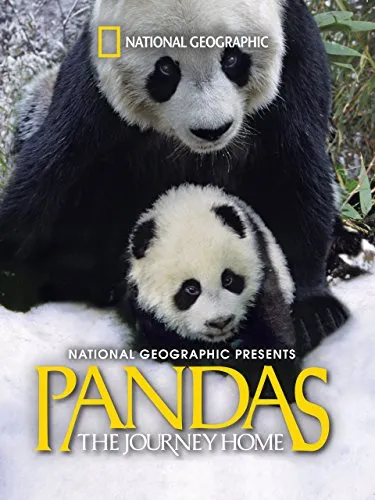  مستند Pandas: The Journey Home 2014